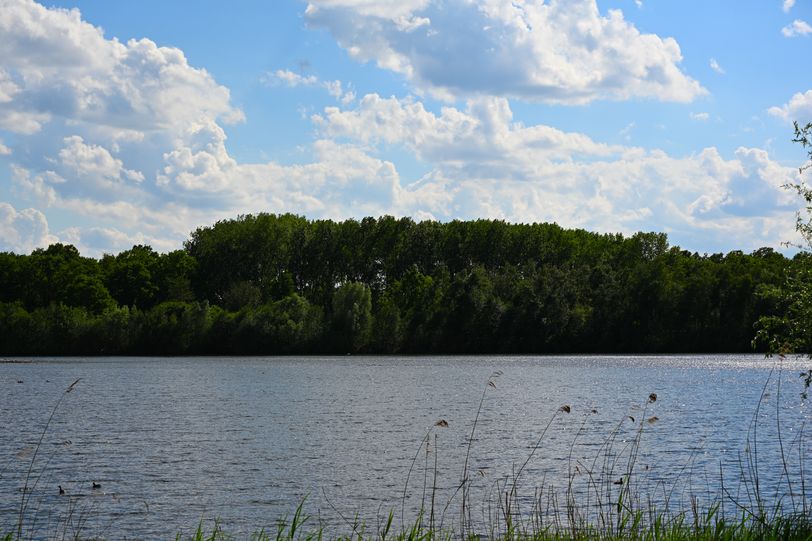 Paysage 1