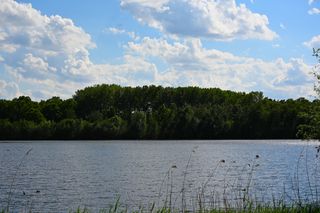 Paysage 1